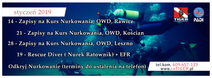 Kalendarz Styczeń 2019