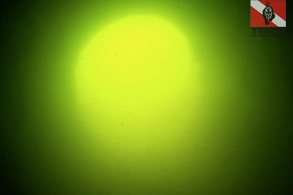 2016.08.27 - j.Dominickie