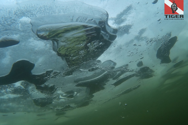 2017.01.28 - nurkowanie podlodowe j.Lusowskie