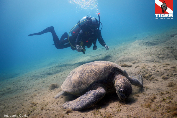2018.03.03-10 - Egipt - Marsa Alam