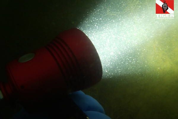 2018.06.03 - Nocne nurkowanie Boszkowo