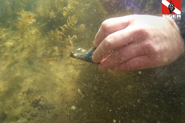 2019.05.11 - j.Strzeszyńskie - Sprzątanie