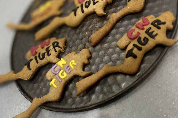 2023.12.02 - Nurkowanie Mikołajkowe